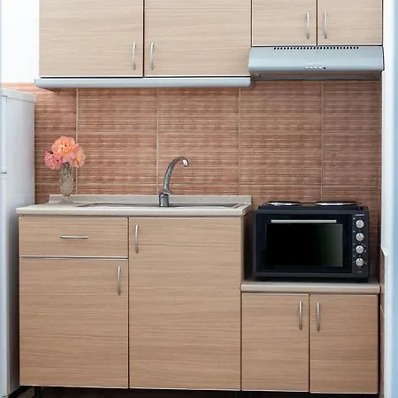 Apartment Halkia *