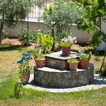 Halkia * توروني